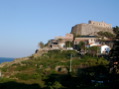 IMGP0411