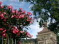 DSCN2880