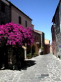DSCN3804