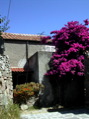 DSCN2973