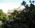 DSCN1412