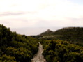 Dscn0168