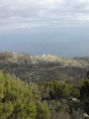 DSCN1851