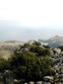 DSCN1852