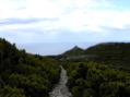 DSCN0168