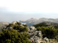 DSCN1857