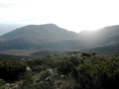 DSCN1859