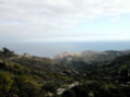 DSCN1884