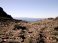 DSCN2146