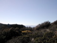 DSCN2155