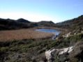 DSCN2170